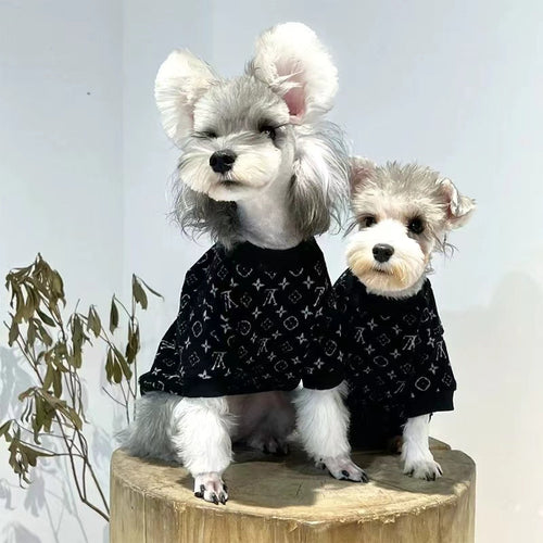 Big Dog LV Winter Cute Sweater